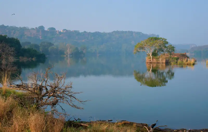 Padam Talao Lake in Ranthambore National Park during an India Group Tour on the Golden Triangle Tour with Travel With Vasco.